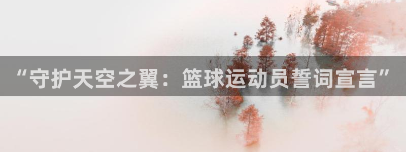 od体育下载：“守护天空之翼：篮球运动员誓词宣言”