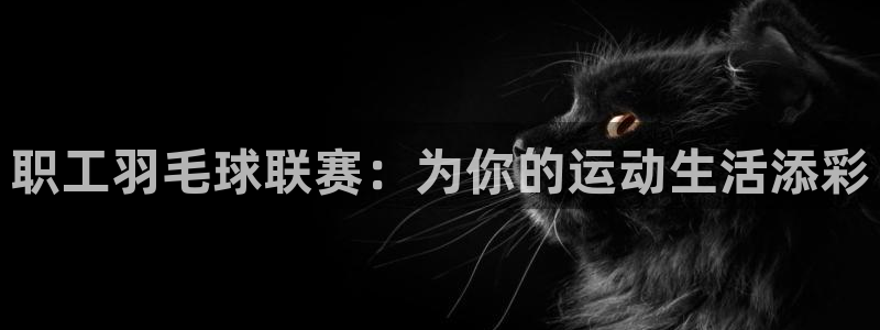 od体育网址：职工羽毛球联赛：为你的运动生活添彩