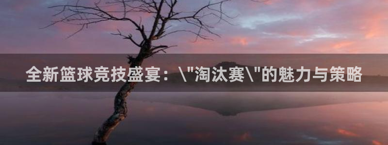od体育网站：全新篮球竞技盛宴：\\\
