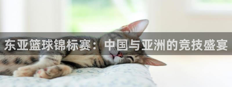 od体育平台：东亚篮球锦标赛：中国与亚洲的竞技盛宴